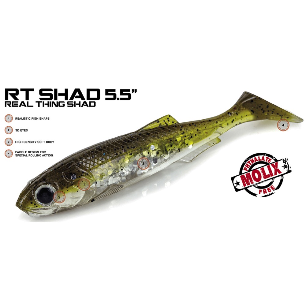 Molix Real Thing Shad 14cm - Wakasagi